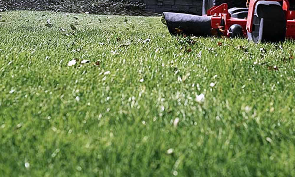 Lawn Mowing and Yardcare Services