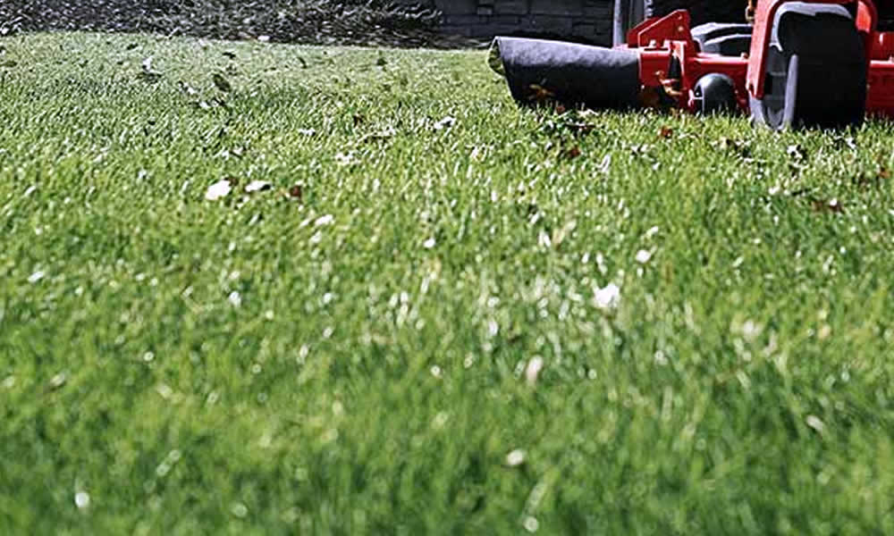 Davies Lawn Services Oconomowoc Wisconsin Lawn Care Near Me Lawn Mowing 