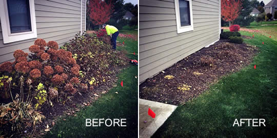 Find Spring Flower Bed Cleanup Company in Madison