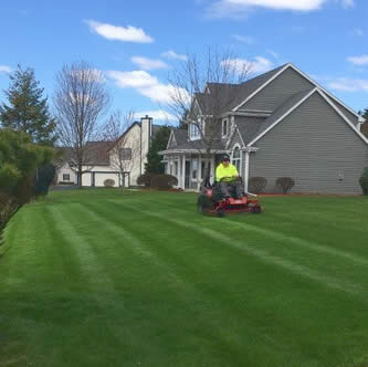 Lawn Mowing Services Lawn Maintenance Services Davies Lawn